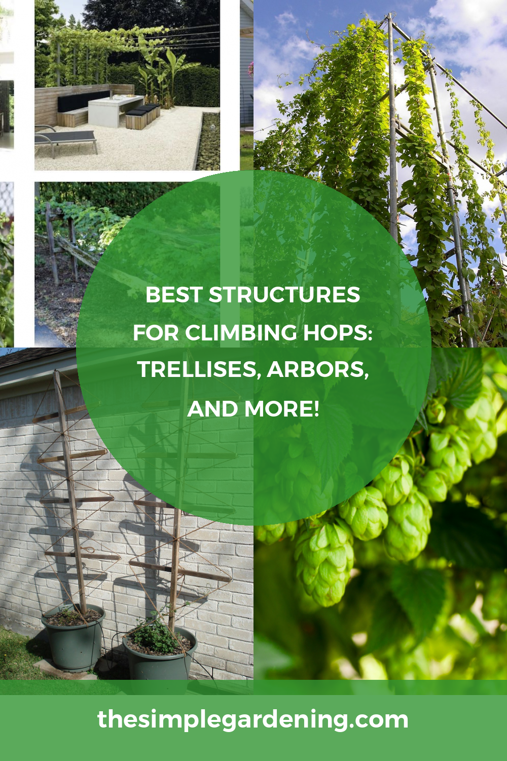 Best Structures for Climbing Hops: Trellises, Arbors, and More!